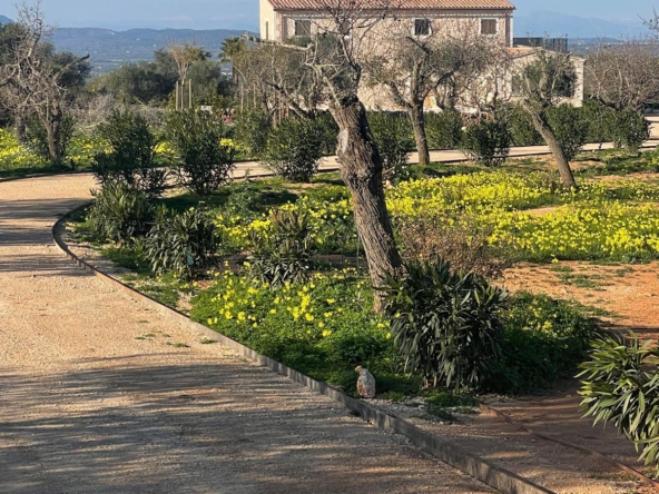 WhatsApp Bild 2025-02-11 um 06.54.39_569f4eb8