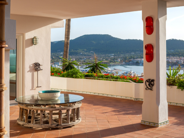 3 Terraza + porche 3 + vistas