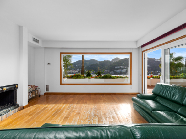 9 Salon + vistas + chimenea