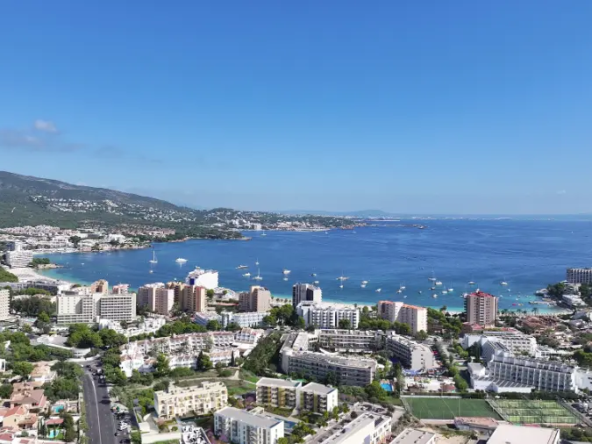 Nesea2_exterior_aerea_1_web