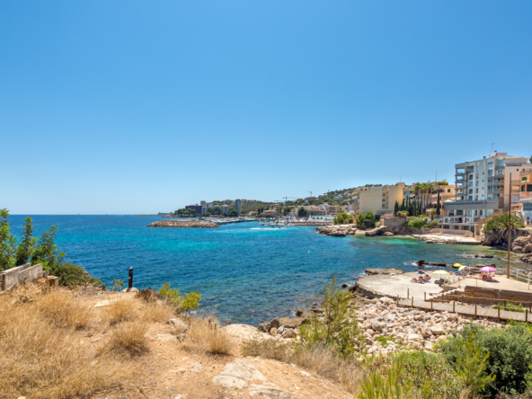 64b64bf613e11c7678f0f3ab