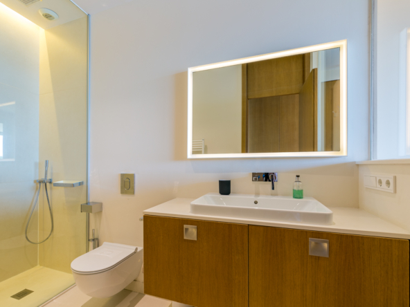 64b64d6d13e11c56c0f0f3b7