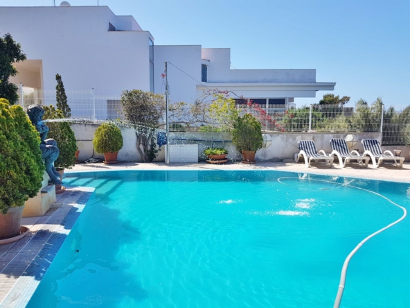 WhatsApp Image 2019-05-06 at 20.19.13 (1)