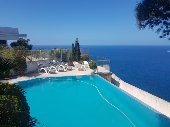 WhatsApp Image 2019-05-06 at 20.24.24